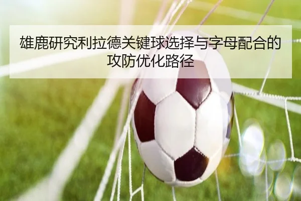 雄鹿研究利拉德关键球选择与字母配合的攻防优化路径