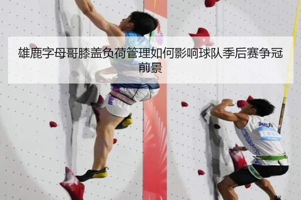 雄鹿字母哥膝盖负荷管理如何影响球队季后赛争冠前景